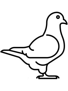 Dove coloring page - picture 23