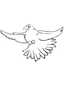 Dove coloring page - picture 24