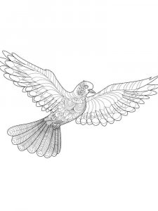 Dove coloring page - picture 30