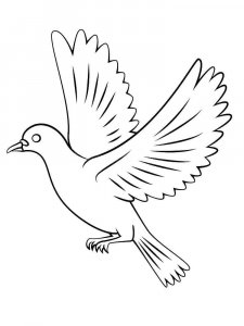 Dove coloring page - picture 32