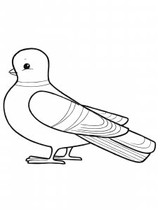 Dove coloring page - picture 4