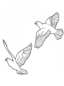 Dove coloring page - picture 5