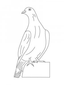 Dove coloring page - picture 6