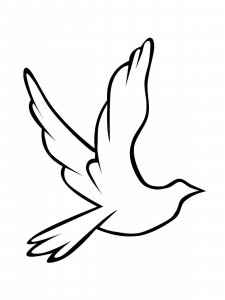 Dove coloring page - picture 8