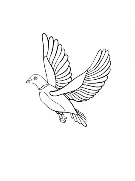 Dove coloring pages