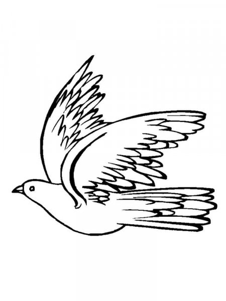 Dove coloring pages