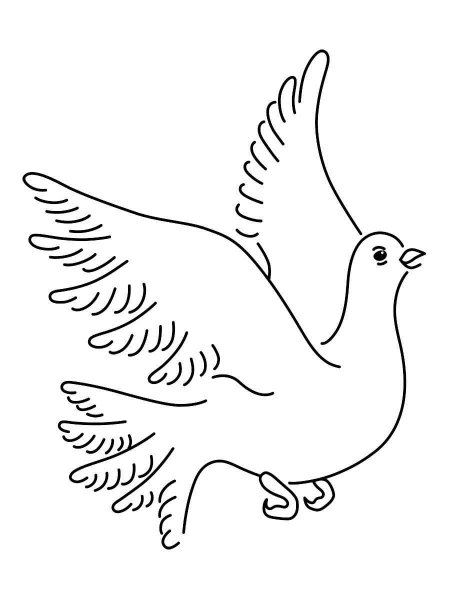 Dove coloring pages