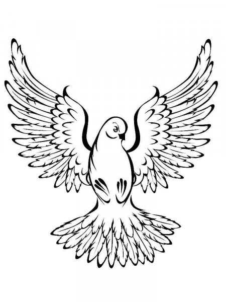 Dove coloring pages