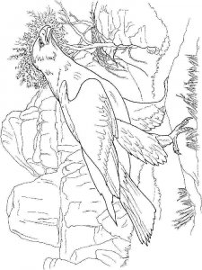 Eagle coloring page - picture 18