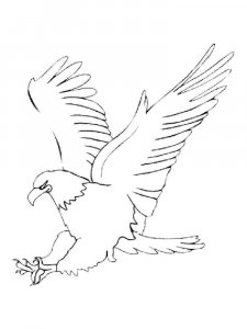 Eagle coloring page - picture 23