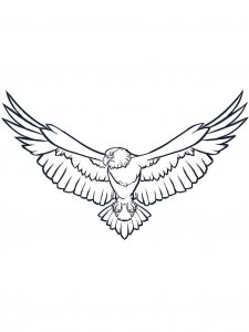 Eagle coloring page - picture 34
