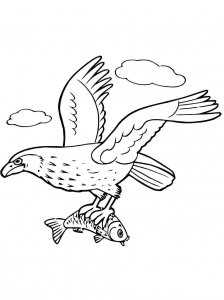 Eagle coloring page - picture 40