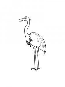 Egrets Birds Coloring Pages 16