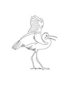 Egrets Birds Coloring Pages 18