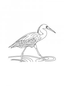 Egrets Birds Coloring Pages 20