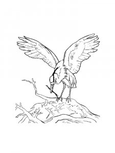 Egrets Birds Coloring Pages 24