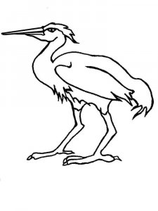 Egret coloring page - picture 5