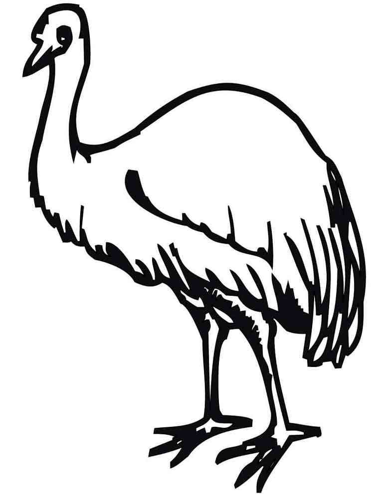 Download Emu coloring pages. Download and print Emu coloring pages