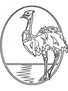 Emu coloring page - picture 1