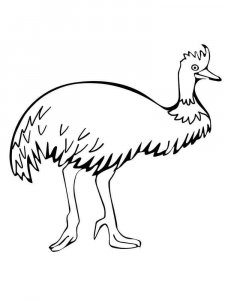 Emu coloring page - picture 13