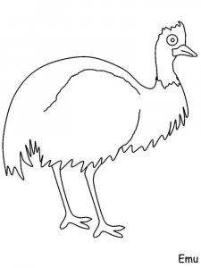 Emu coloring page - picture 2