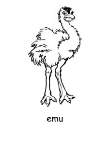 Emu coloring page - picture 4