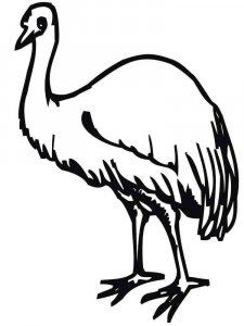 Emu coloring page - picture 6