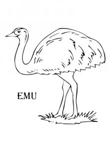 Emu coloring page - picture 7