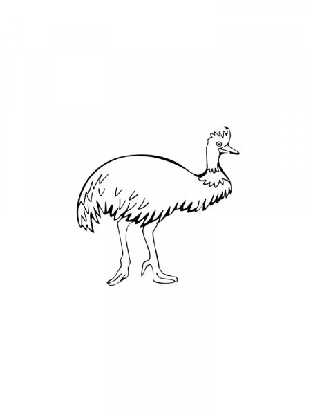 Emu coloring pages