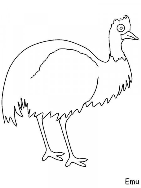 Emu coloring pages