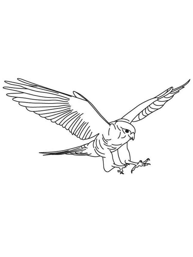 Falcons Coloring Pages Download And Print Falcons Coloring Pages 39+ peregrine falcon coloring pages for printing and coloring. falcons coloring pages download and