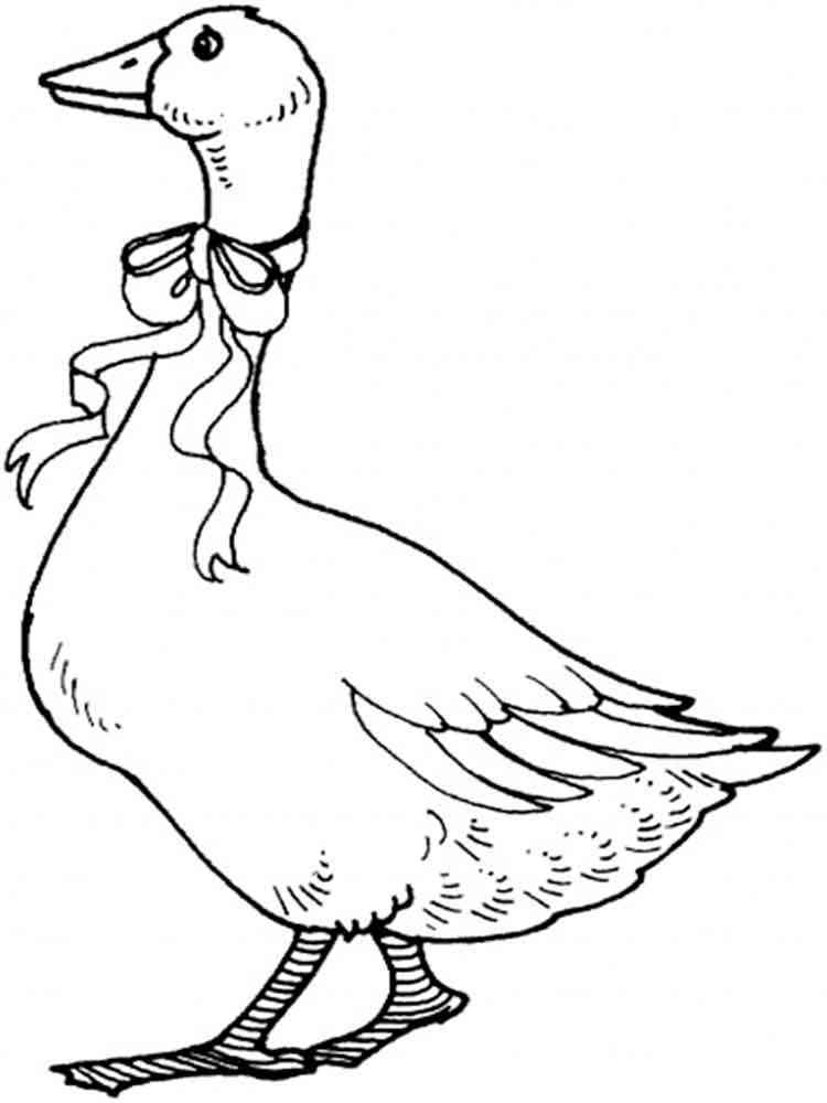 Goose coloring pages. Download and print Goose coloring pages