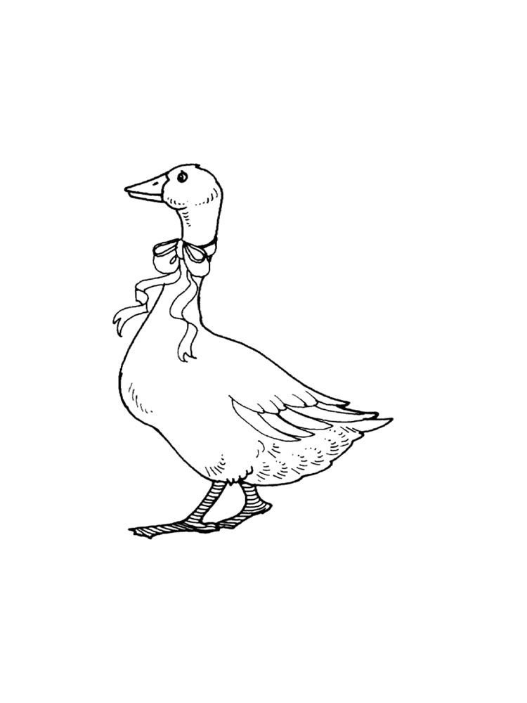 Coloring Page Printable Goose 189 SVG File For Cricut