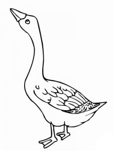 Goose coloring page - picture 1
