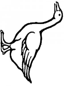 Goose coloring page - picture 12