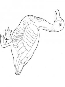 Goose coloring page - picture 14