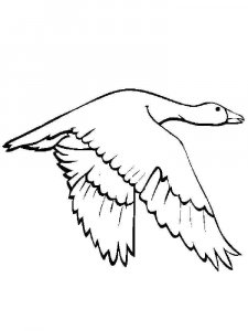 Goose coloring page - picture 19