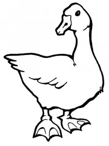 Goose coloring page - picture 9