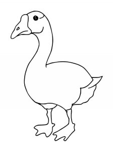 Goose coloring page - picture 21