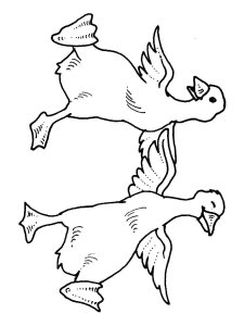 Goose coloring page - picture 31