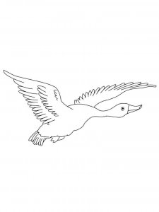 Goose coloring page - picture 33