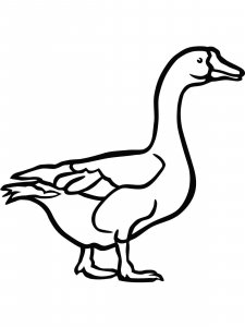 Goose coloring page - picture 22