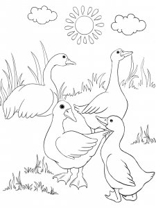 Goose coloring page - picture 23
