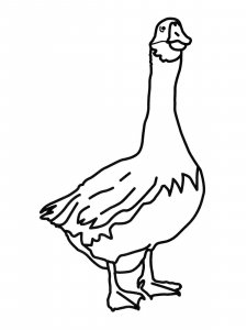 Goose coloring page - picture 24