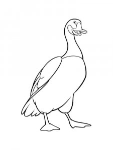 Goose coloring page - picture 26