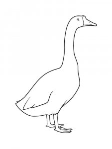 Goose coloring page - picture 27