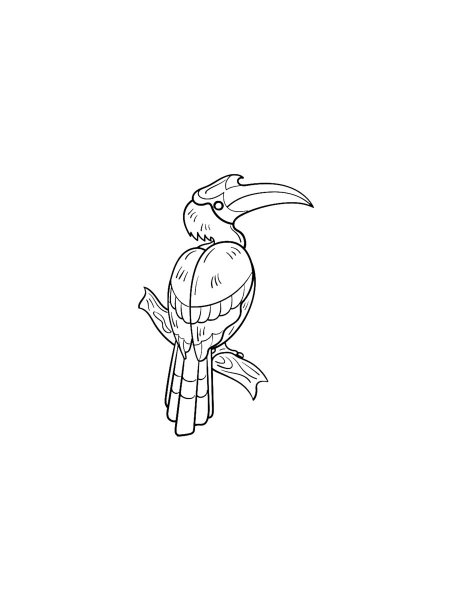 Hornbill coloring pages