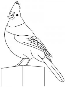 Jay coloring page - picture 1