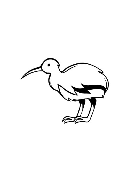 Kiwi coloring pages