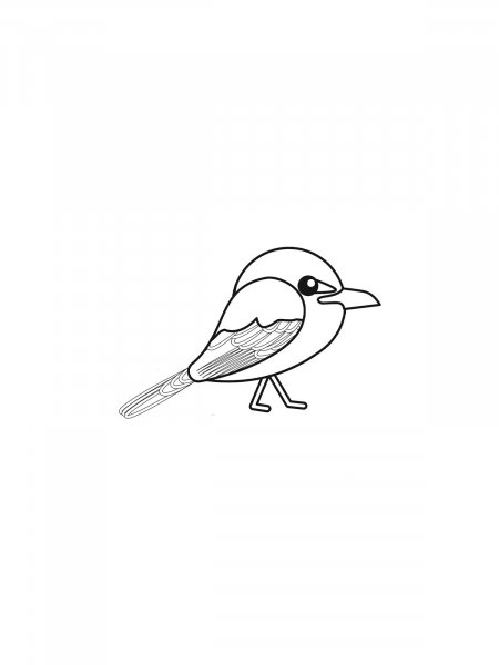 Mockingbird coloring pages - Free Printable